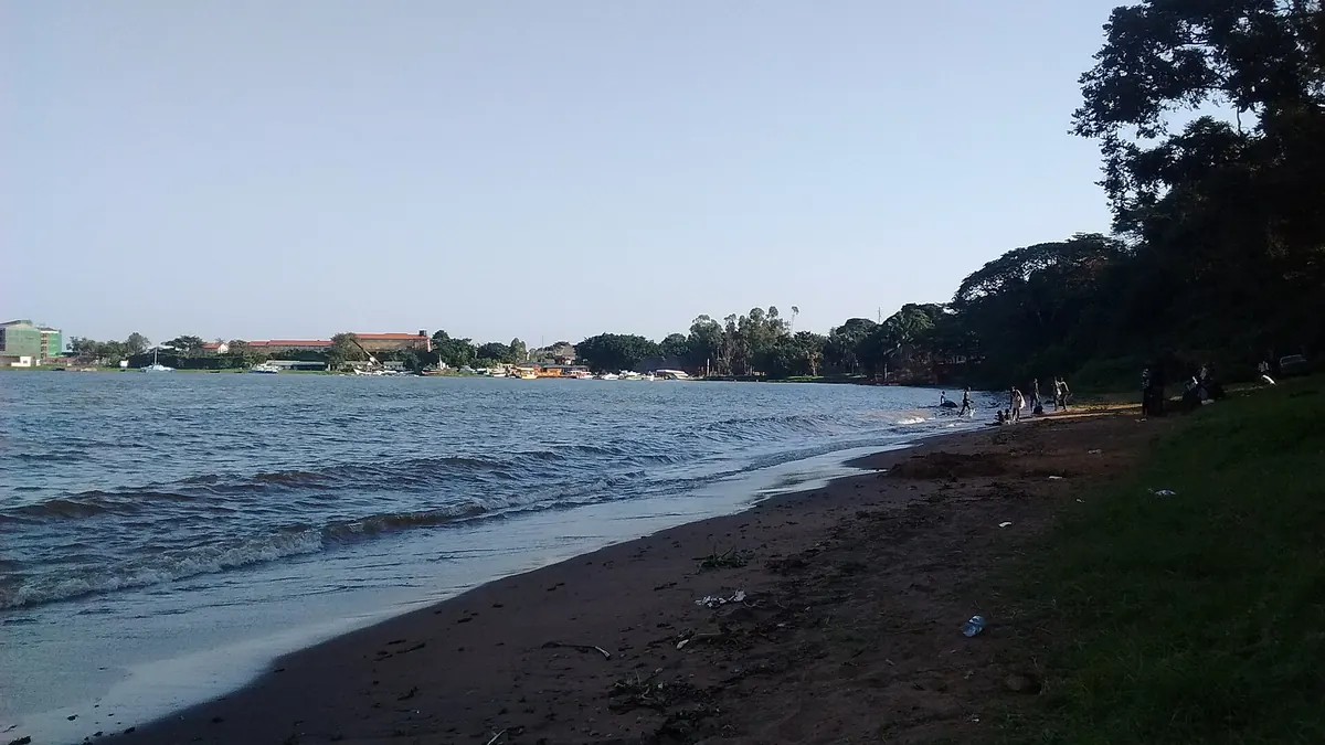 Lake Victoria shore at the Entebbe Botanical Gardens